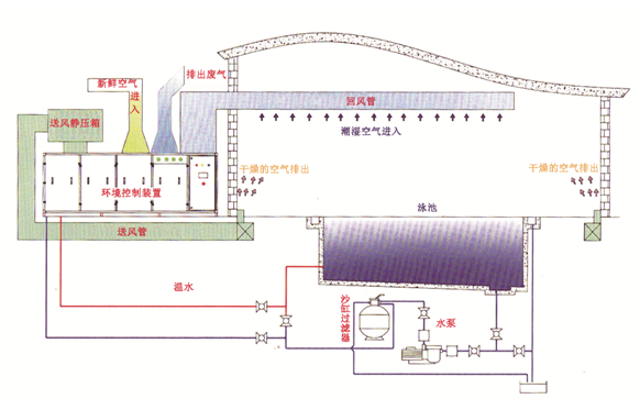 瀚宇水處理：如果做好這些，奧運泳池怎么會“綠”?